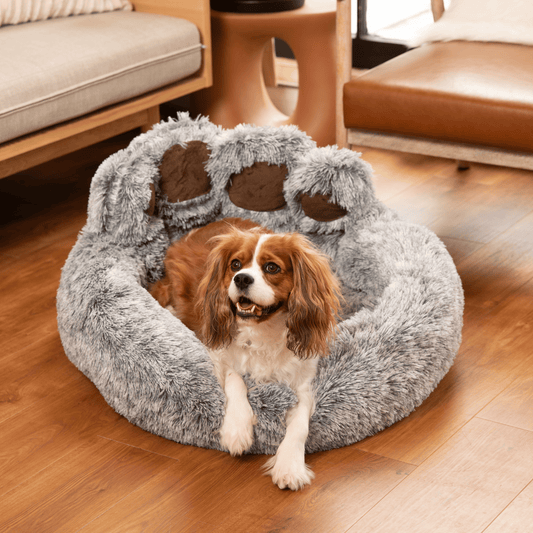 Calming Paw Bed